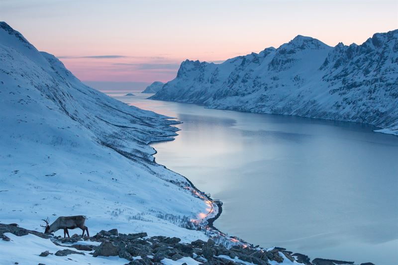 norway-tromso-tos-snow-mountains-fjord-sas.jpg