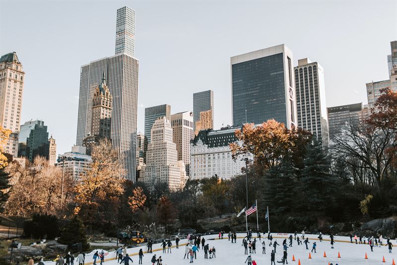 usa-new-york-ewr-central-park-winter-skating-sas (1).jpg