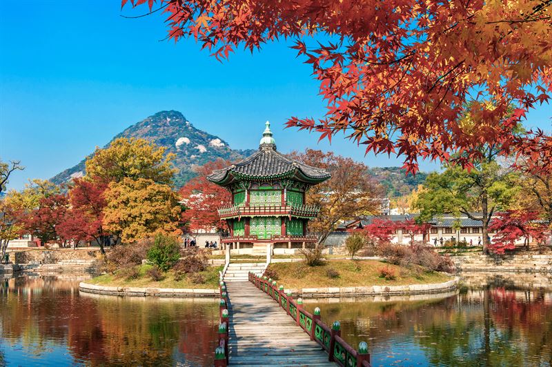 sout-korea-seoul-icn-temple-island-fall-sas 1.jpg