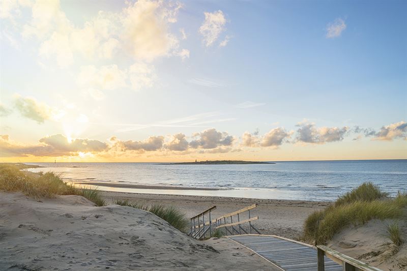 beach of Tylösand.jpg